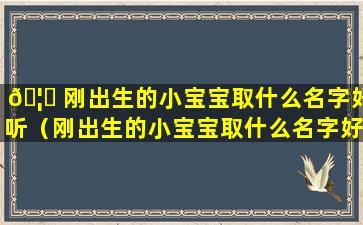 🦟 刚出生的小宝宝取什么名字好听（刚出生的小宝宝取什么名字好听小男孩姓时）